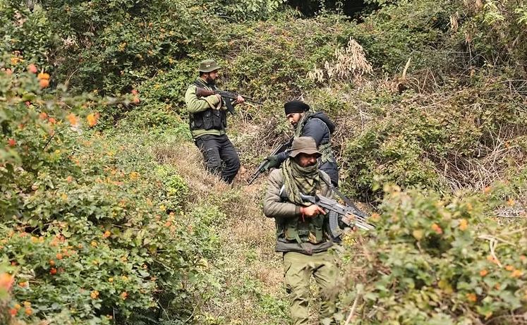 Search operation underway in Kathua