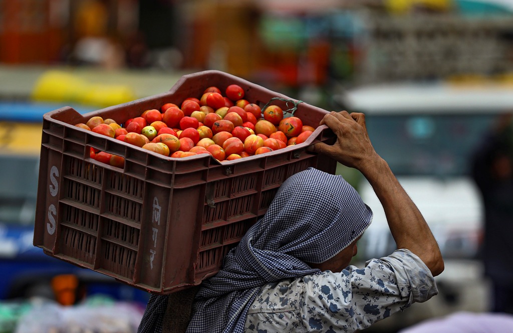 Centre launches subsidised tomato sale at Rs 47-60/kg in Delhi as prices spike due to rains