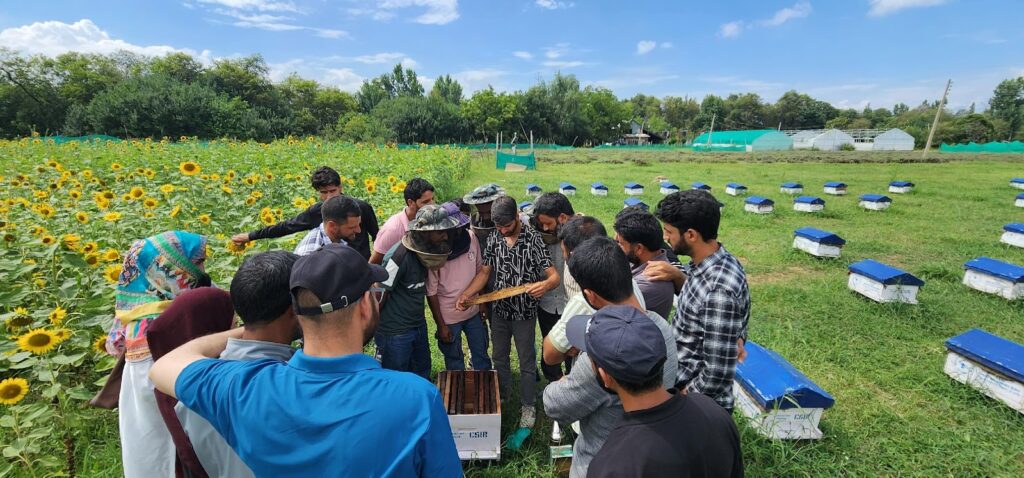 CSIR-IIIM concludes Five Day Training Programme on Scientific Beekeeping