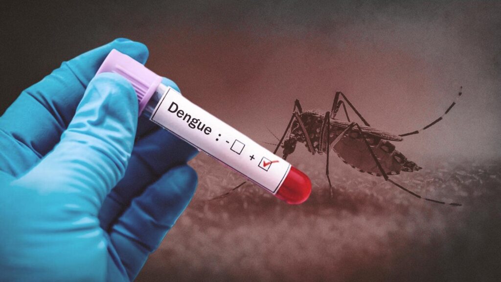 71 New Dengue Cases Reported in Jammu Division, Tally Reaches 2,051