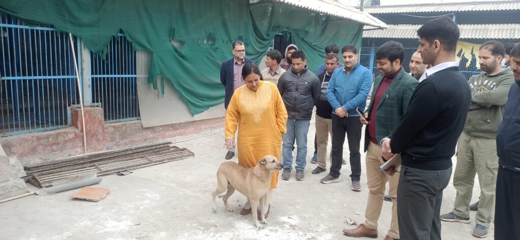 Commissioner Secretary Mandeep Kaur Reviews Animal Shelters, Orders New Cow Shelter at Bandhu Rakh