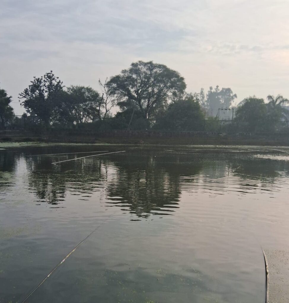 JMC Restores Pond in Ward 55, Strengthens Water Security