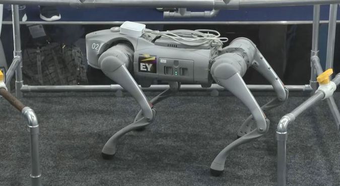 ‘Scout’ the robot and GenAI solutions: EY India showcases future of industrial transformation at India AI Impact Summit 2026