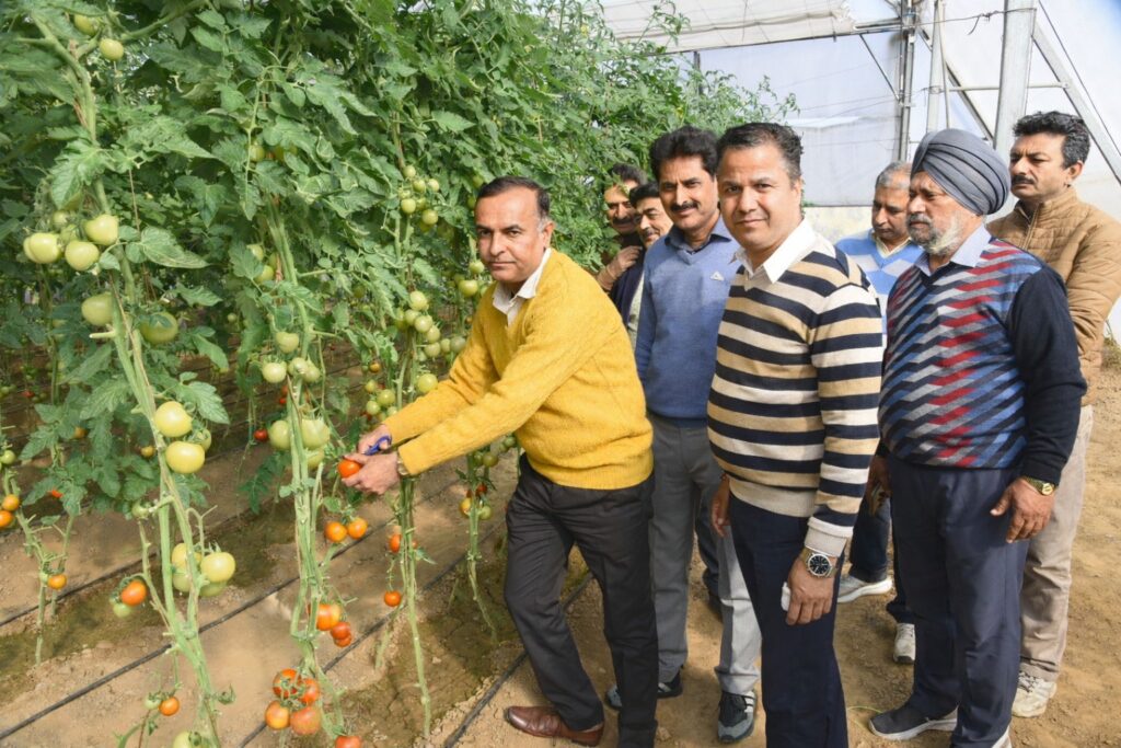 Director Agriculture Jammu inaugurates first picking of exotic vegetables at Krishi Bhawan