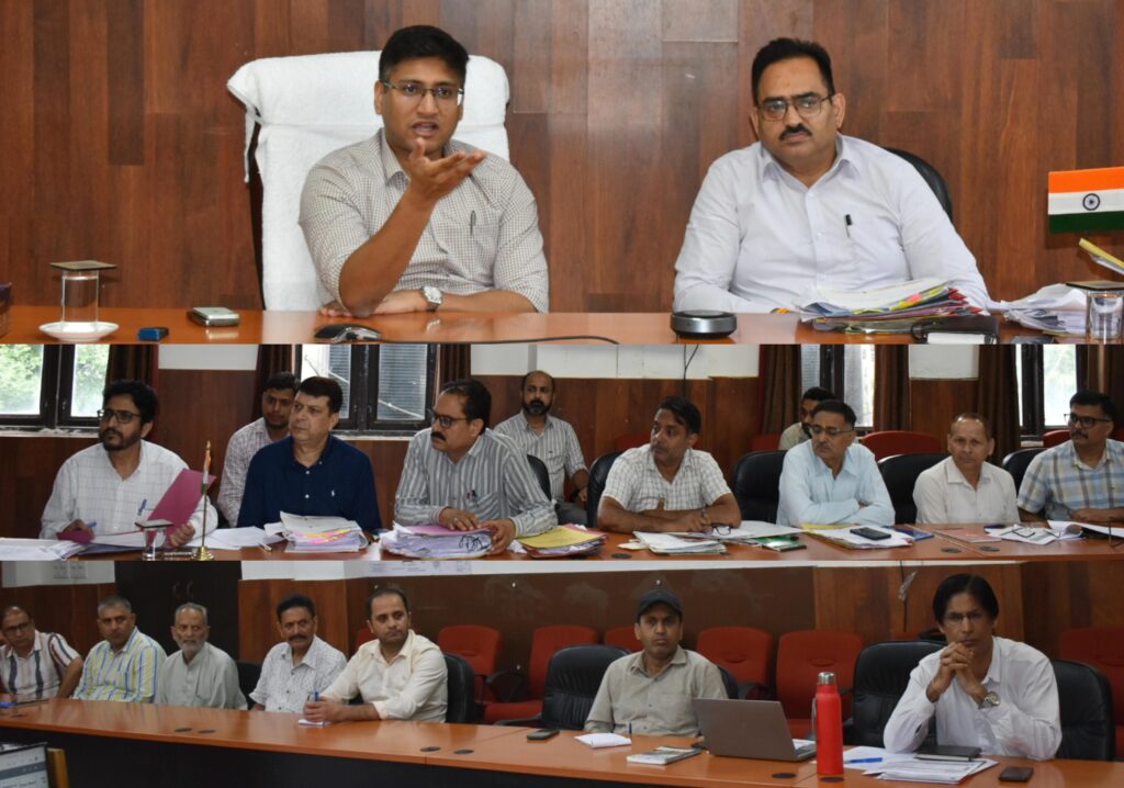DC Reasi chairs DLC meeting; focus on dairy expansion and poultry promotion