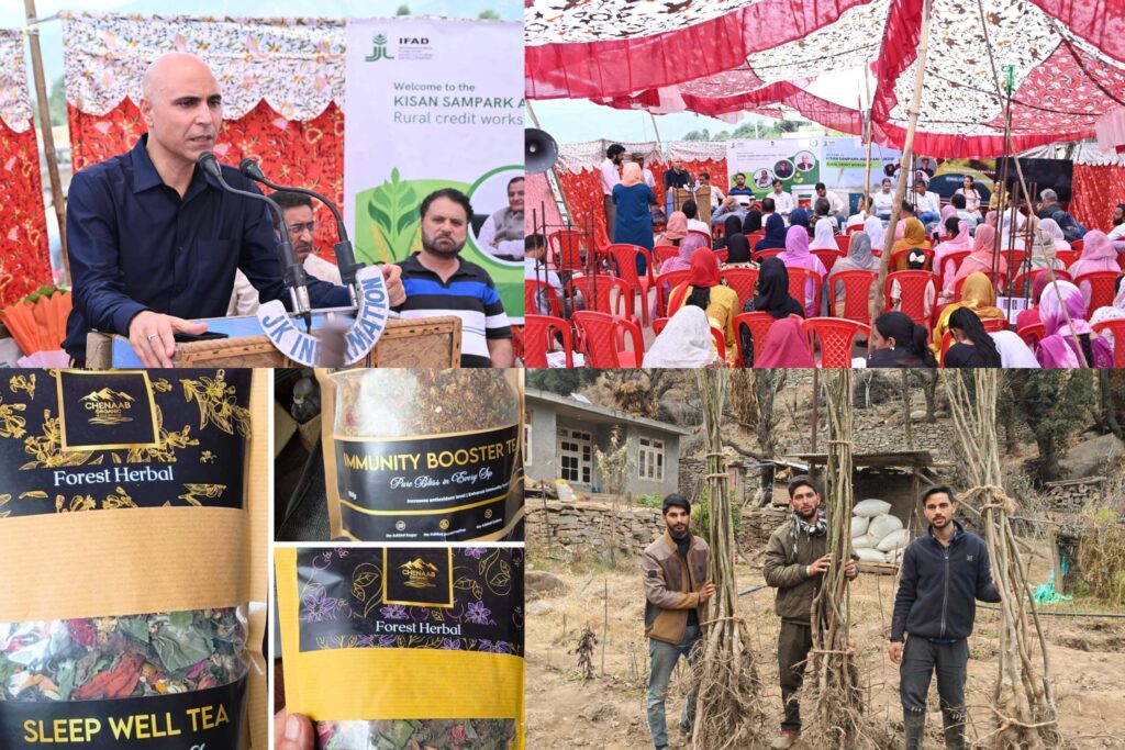 JKCIP-backed FPOs of Kishtwar record strong growth in herbal, horticulture sectors