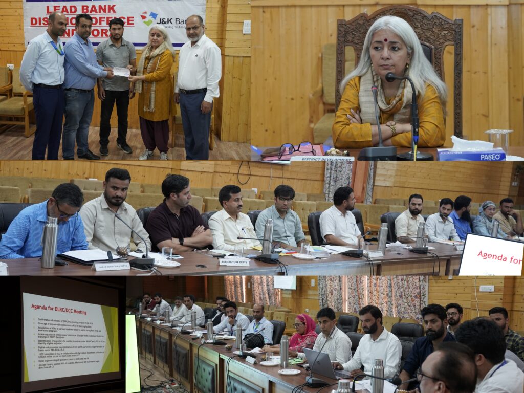 DC Bandipora Chairs DCC/DLRC Meeting; Calls for Accelerated Priority Sector Lending and 100% KCC Saturation