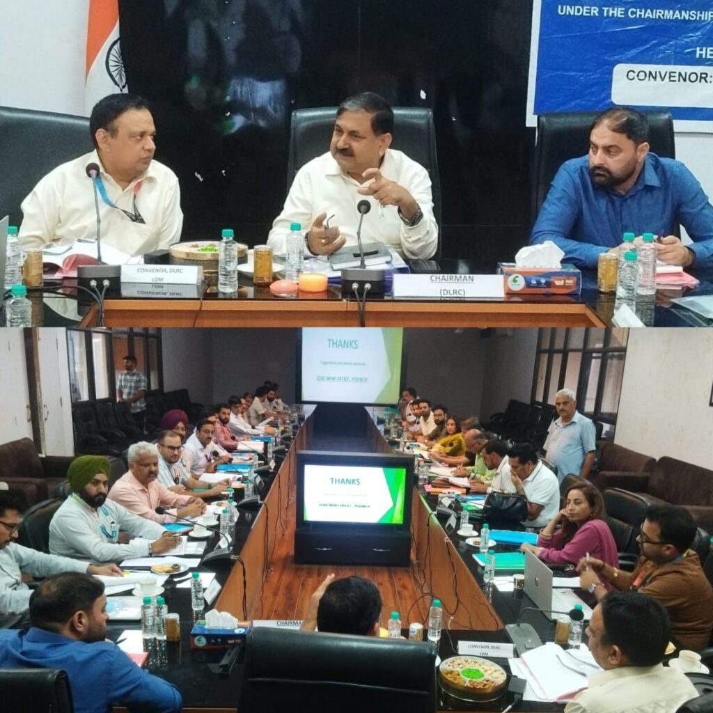 DC Poonch reviews performance of banks, Implementation of Govt schemes in DLRC meeting