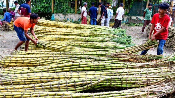 Sugar ex-mill prices down 18% to Rs 55/kg after import move, curbs on hoarding: Food secretary