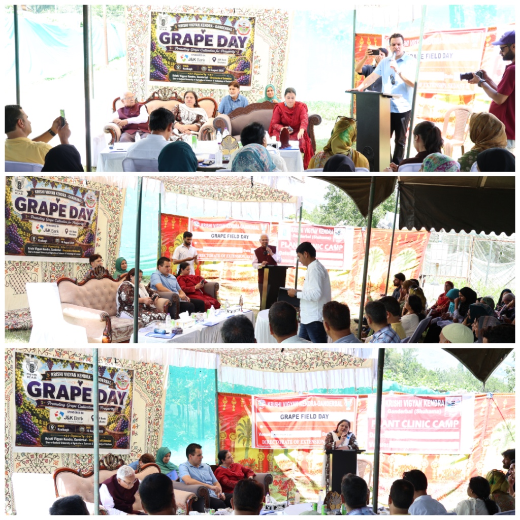 Kashmir Grape Growers benefit from Expert Guidance at KVK Ganderbal’s Grape Day
