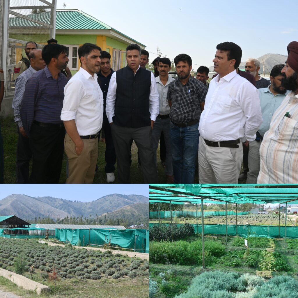 DC Anantnag visits HADP-based Medicinal, Aromatic Plants Germplasm Bank at Verinag
