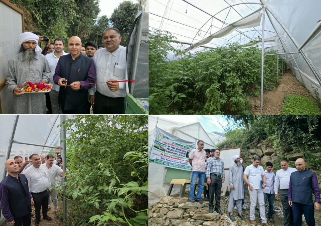 DC Kishtwar inaugurates Hi-Tech Polyhouse established under HADP Project