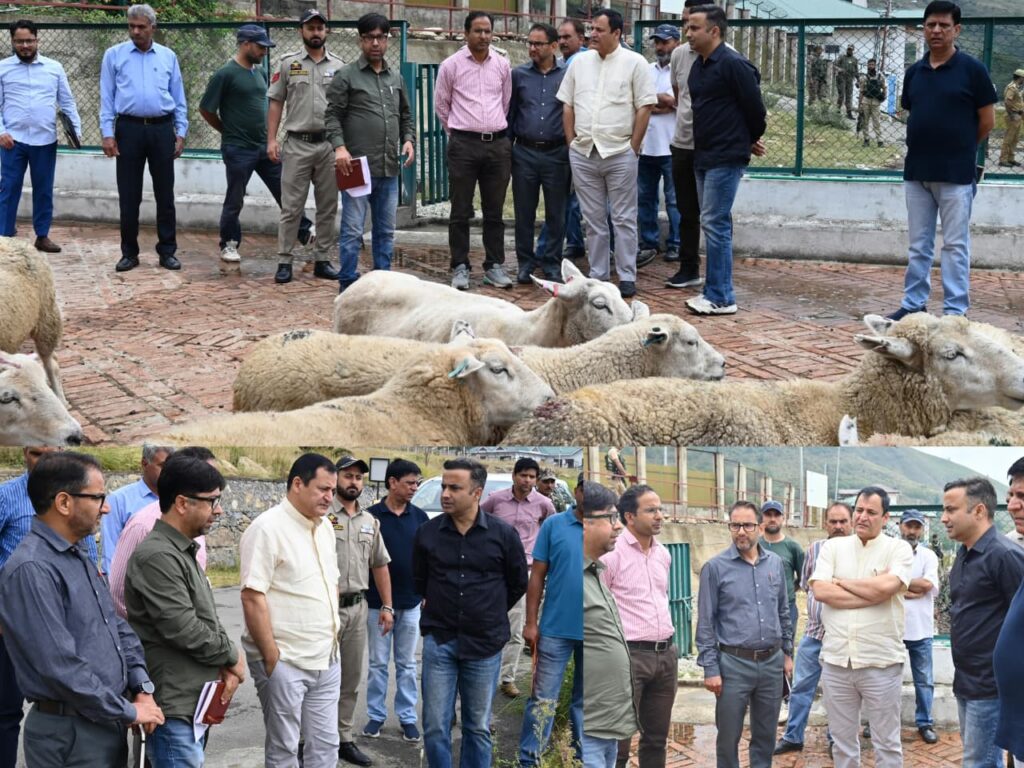 Javid Dar reviews sheep breeding initiatives at Khimber Farm