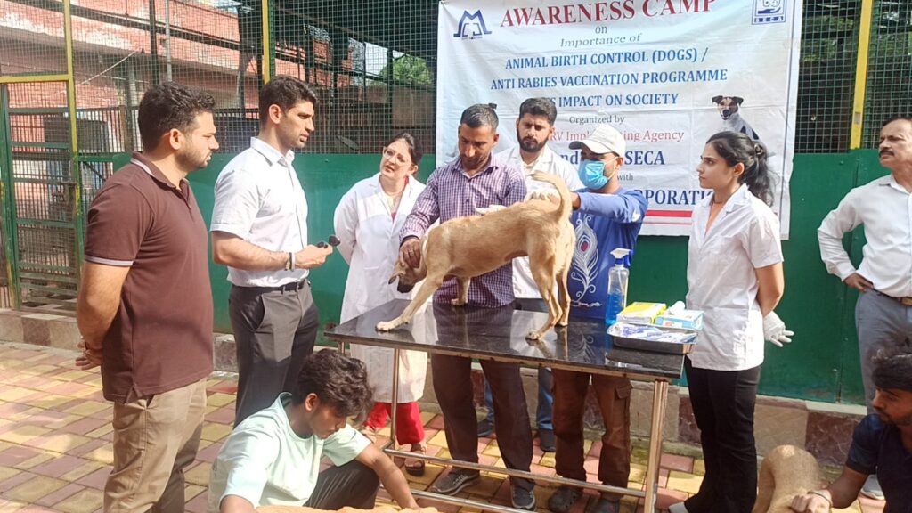 JMC Launches Anti-Rabies Vaccination Drive in Jammu