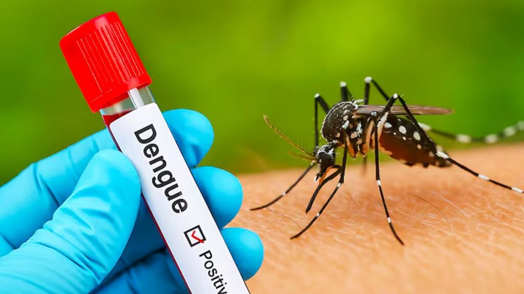 Dengue Cases Surge in Doda, Over 190 Patients Hospitalised; ICMR-NIV Team Steps In