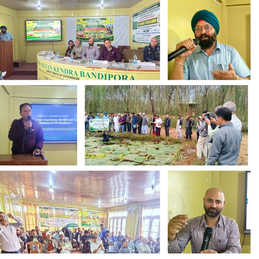 KVK Bandipora-1 hosts First Training Programme on Makhana Cultivation